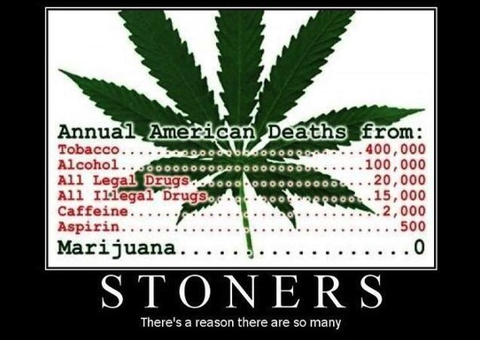 Alcoholic pothead vs Cannabis vs